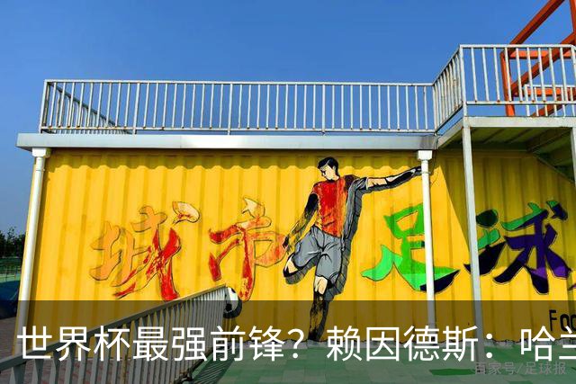 世界杯最强前锋？赖因德斯：哈兰德是我朋友，但我坚持要选加克波