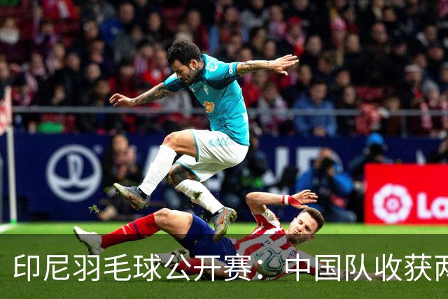 印尼羽毛球公开赛：中国队收获两项亚军