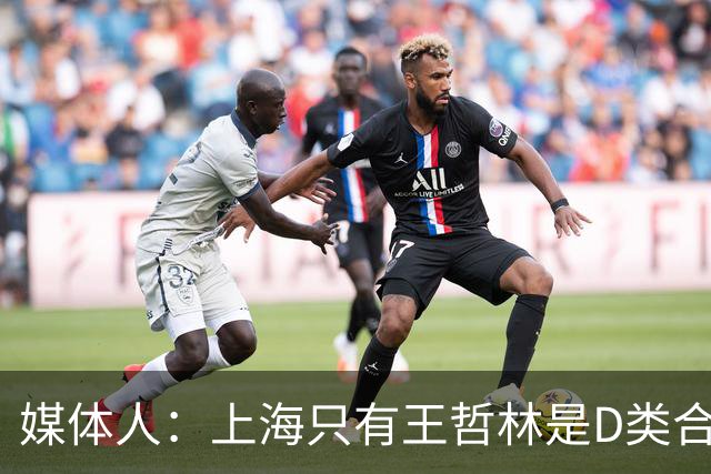 媒体人：上海只有王哲林是D类合同 剩余两个顶薪或给张镇麟李弘权