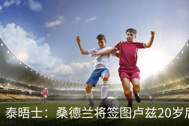泰晤士：桑德兰将签图卢兹20岁后卫梅塔利 转会费最高达3000万镑
