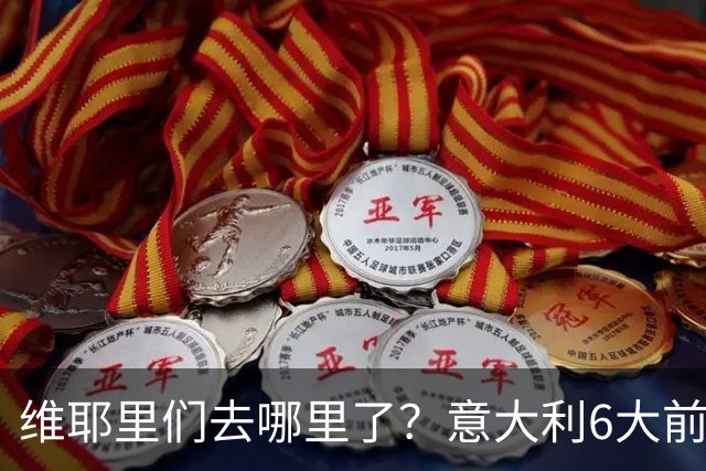 维耶里们去哪里了？意大利6大前锋没一个在踢欧冠