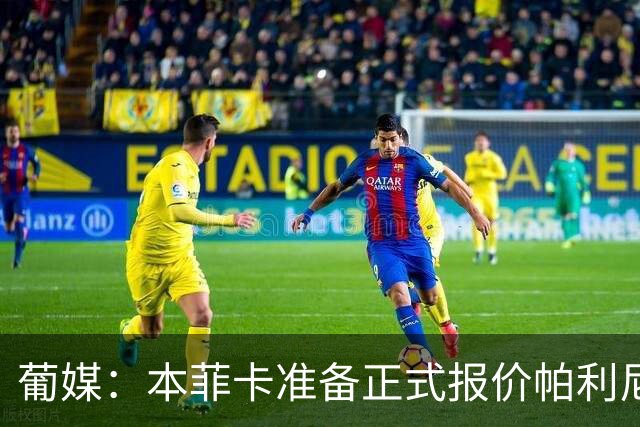 葡媒：本菲卡准备正式报价帕利尼亚，米兰在关注事态发展
