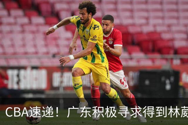 CBA速递！广东积极寻求得到林葳签约权，山东男篮兜售谢智杰，南京签约李玮灏，李云开重返CBA
